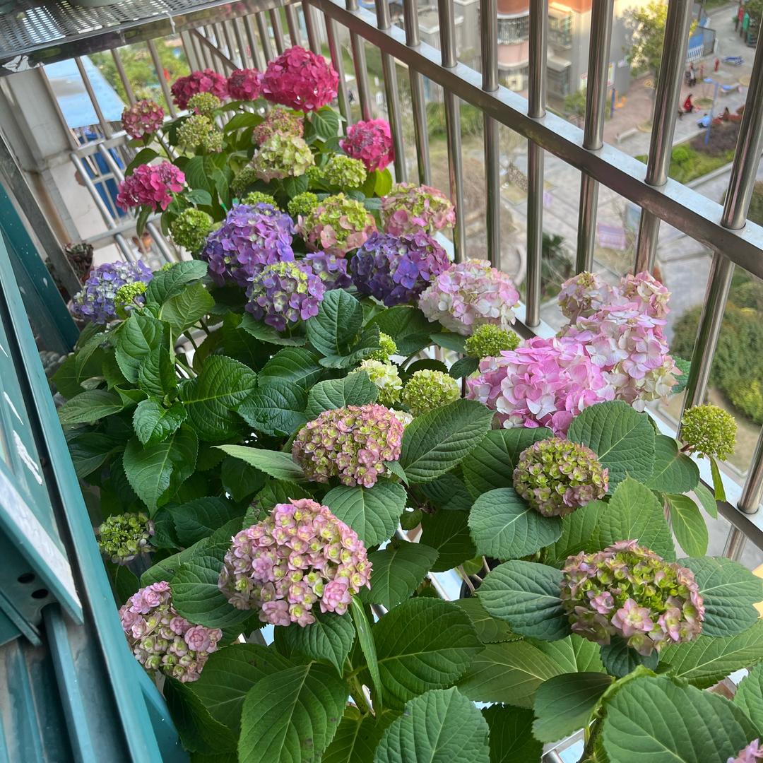 🌻梦醒了、