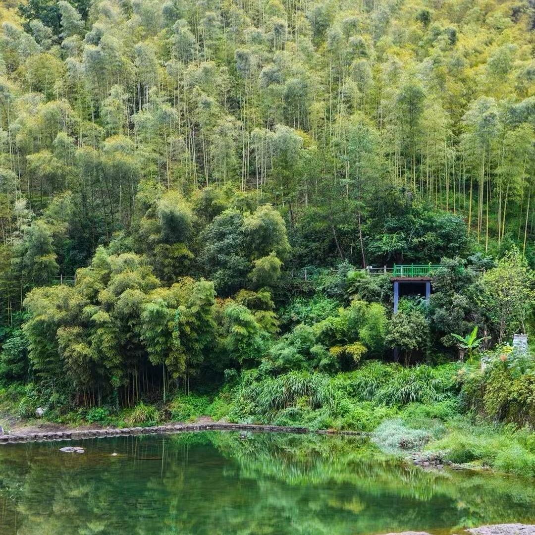 墨染青衫