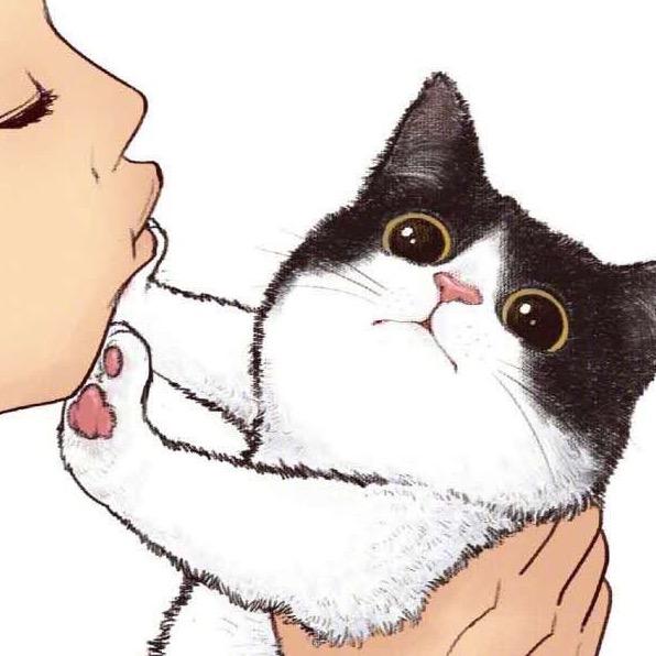 戒猫了