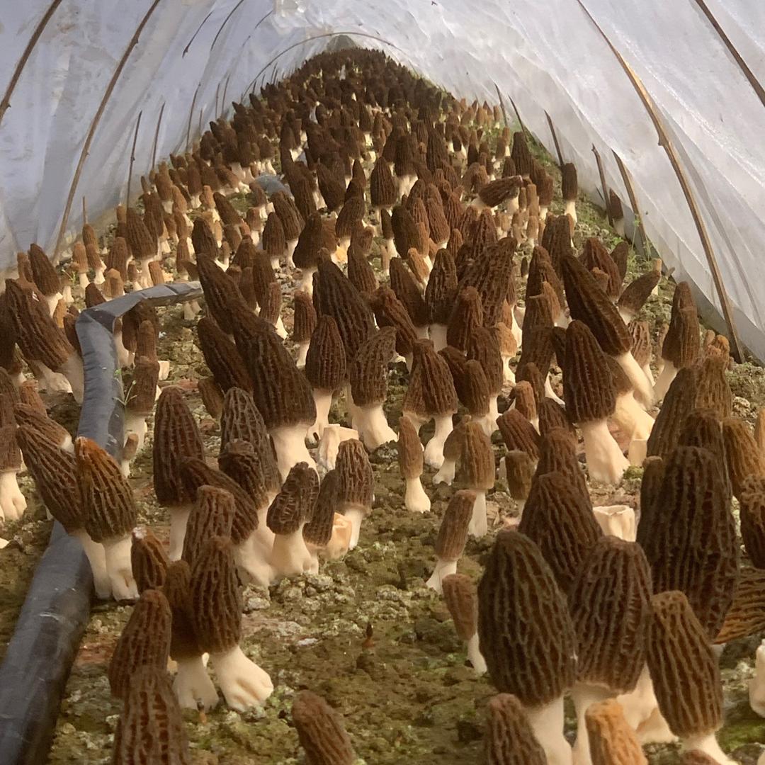 ╮圈子不同别硬容@!