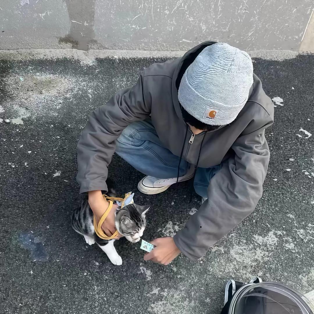 凌晨也睡不着