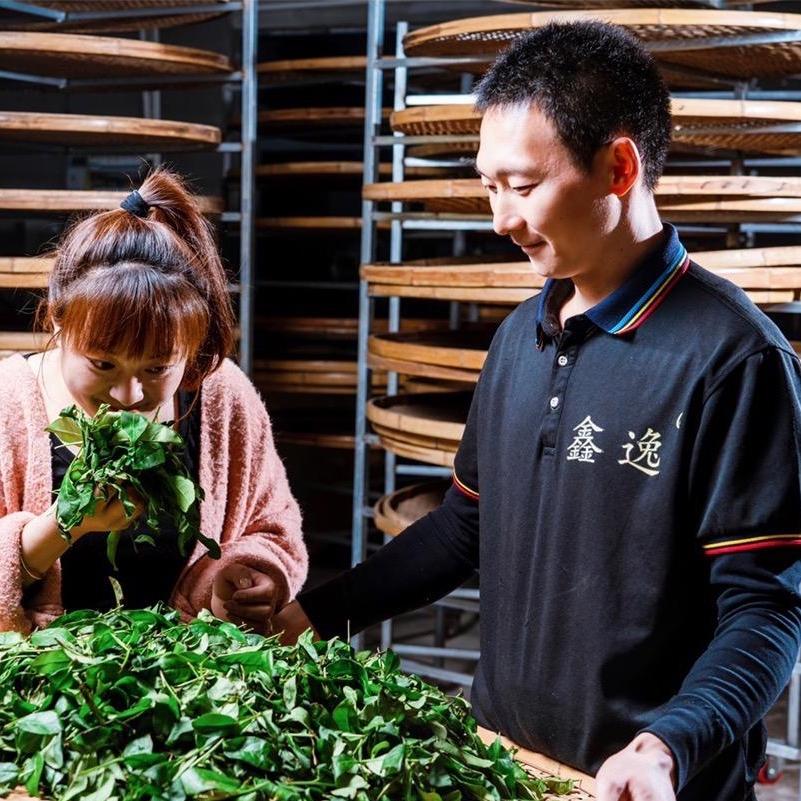 武夷山鑫逸茶叶有限公司