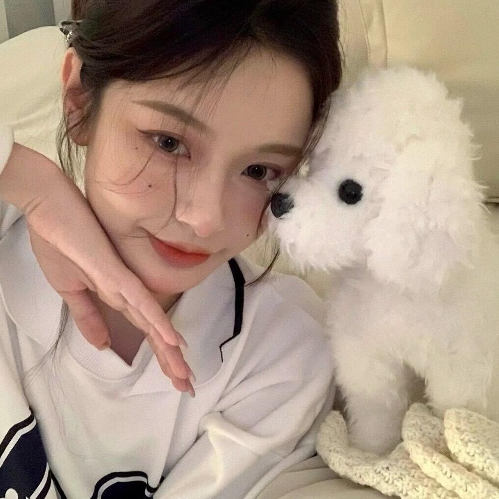 失眠小🐏