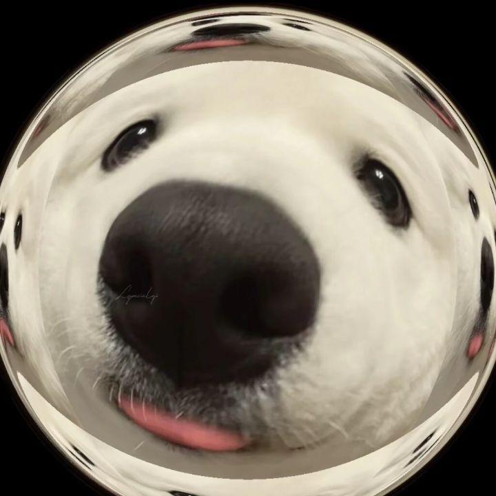 三三三金