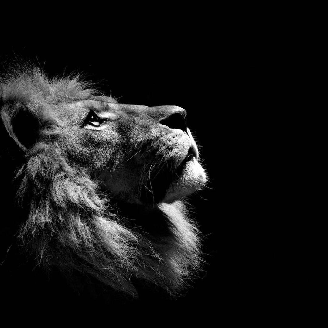 无̶感̶.🦌¹⁸¹⁸