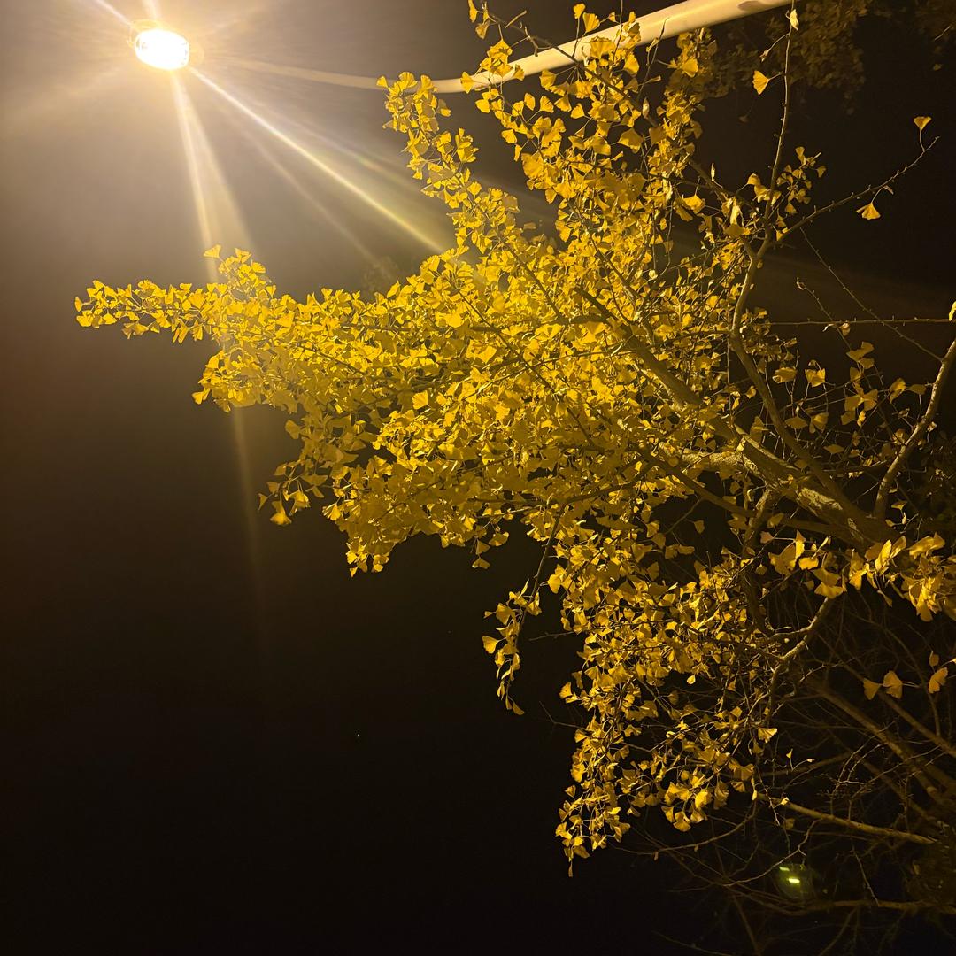 明天会更好