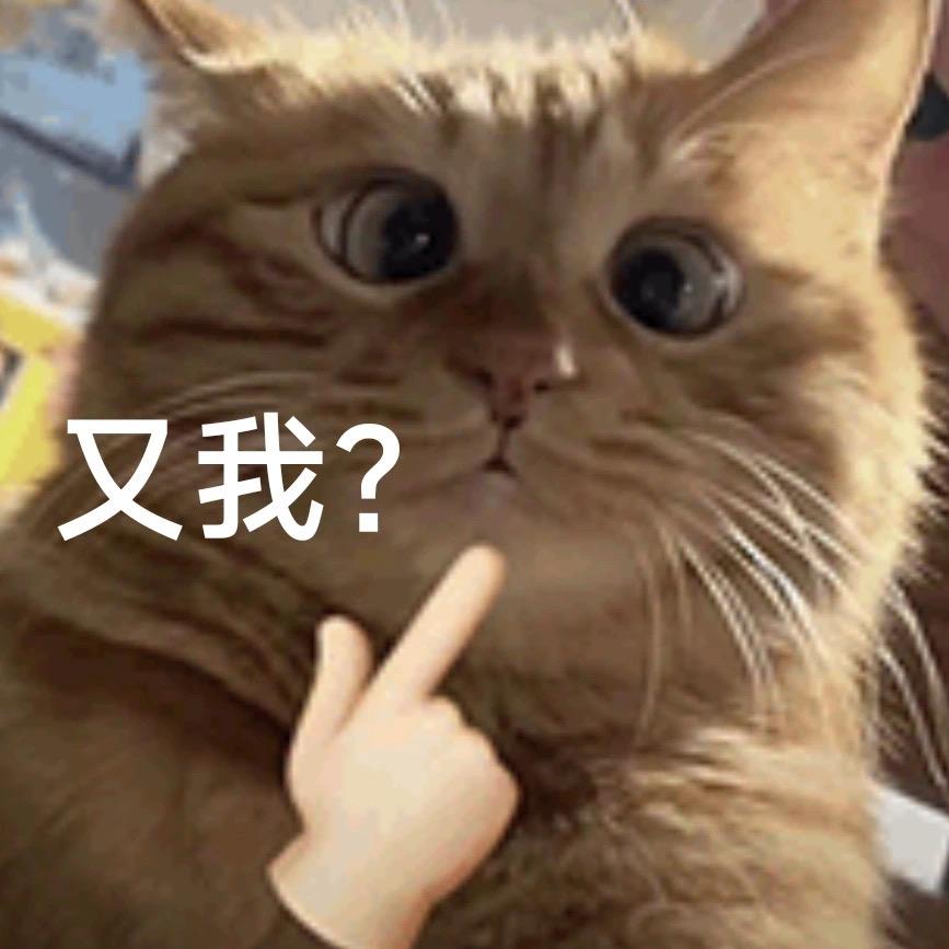 🦋蝶