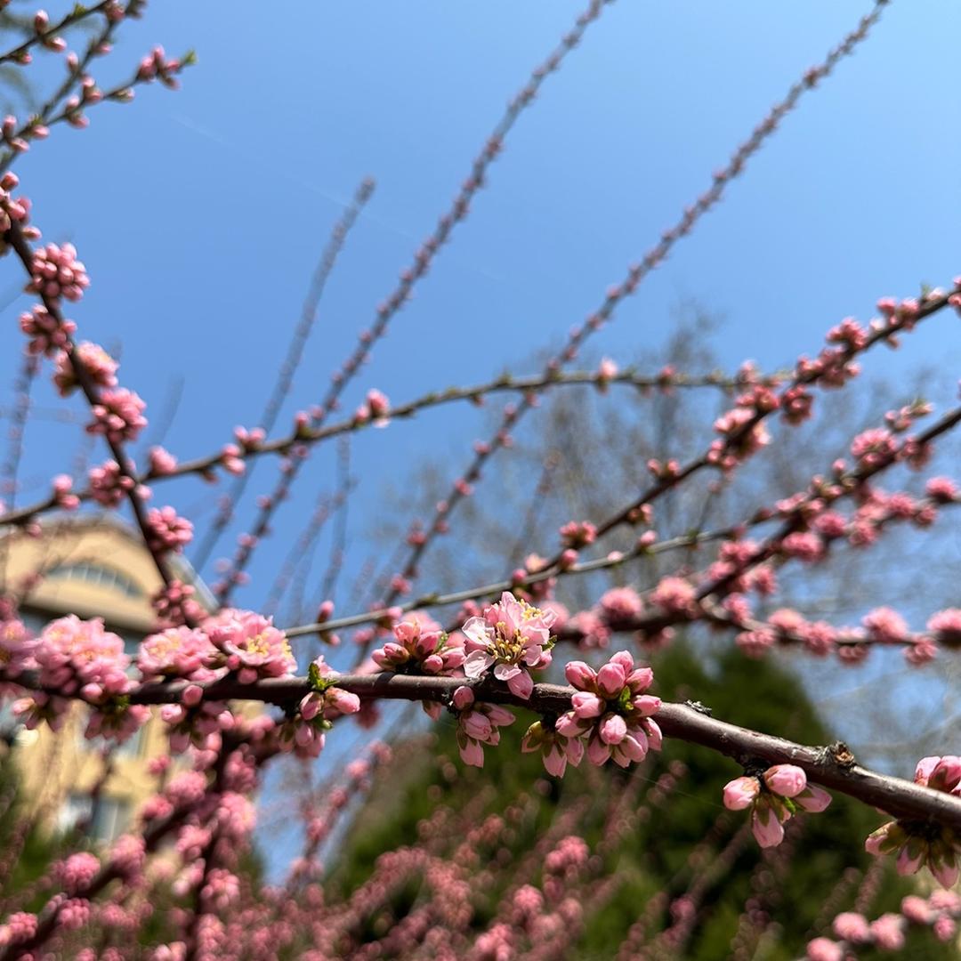 学员的日常～楠姐（考证学历&进央企）