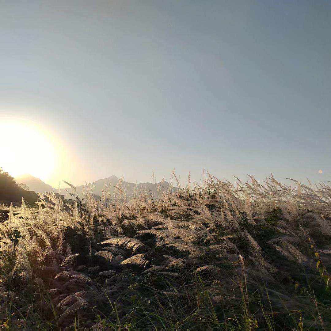 一缕不羁的风゛