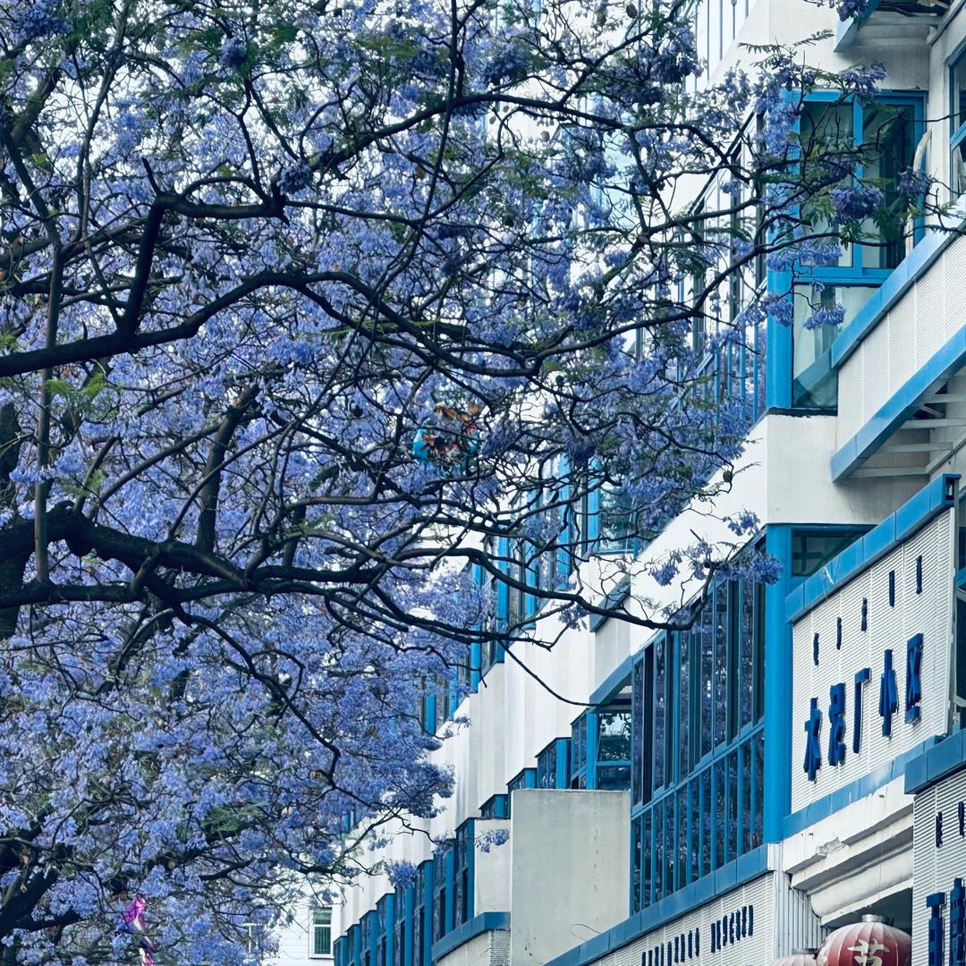 你是这个领域的专家