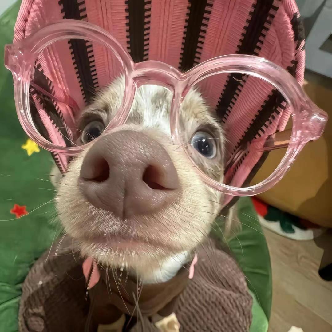 孙菜鱼🐟