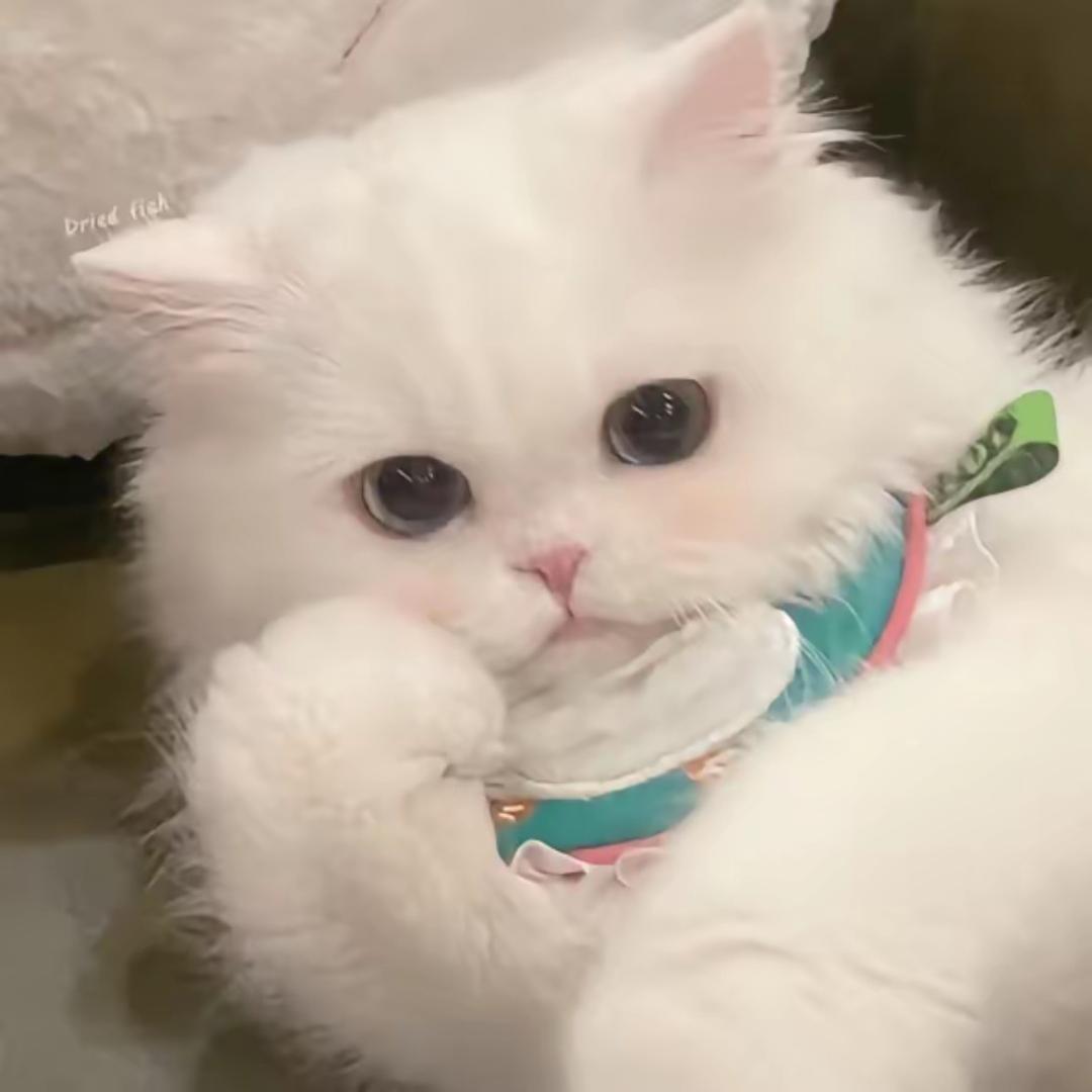 易而啥