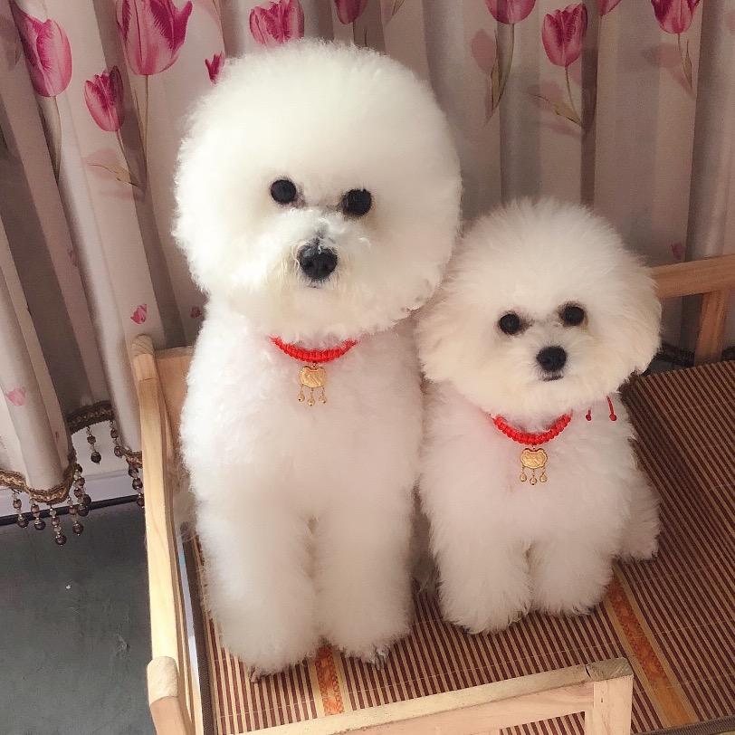 小糯米和小米粒