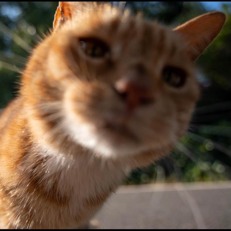 小明洛洛的笔记