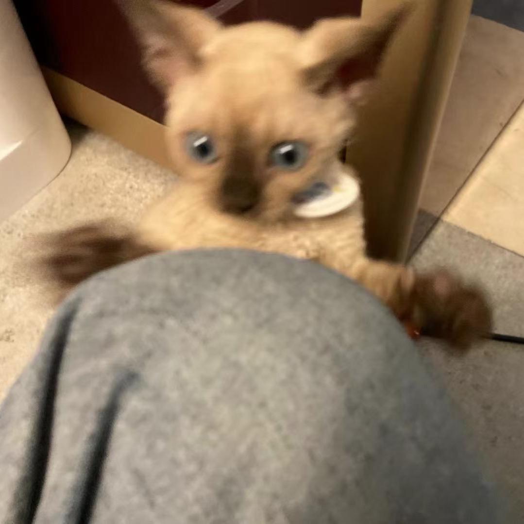 ㅤㅤ ㅤㅤ ㅤㅤ