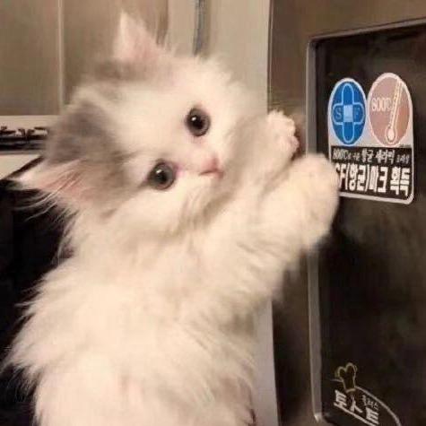 想叫什么叫什么咯