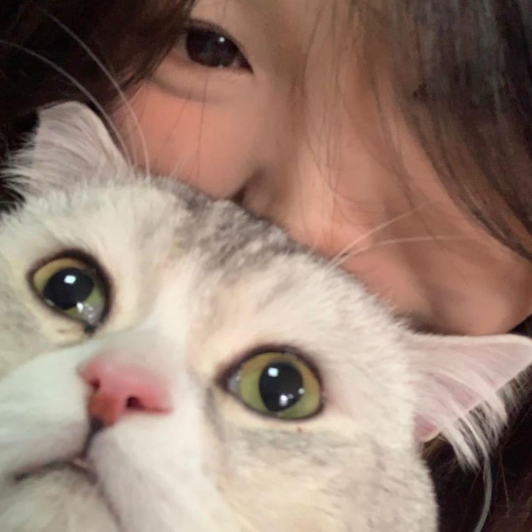 静