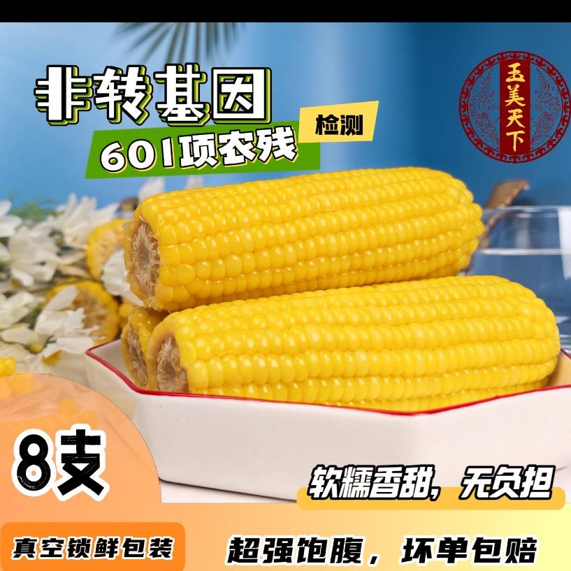 敖汉黄糯玉米供应链