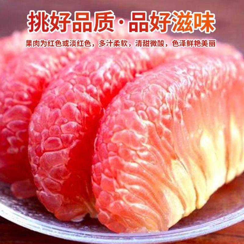 广丰马家柚基地