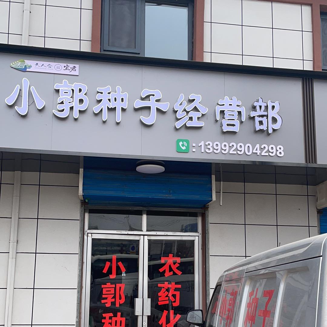 宜君小郭高产种子