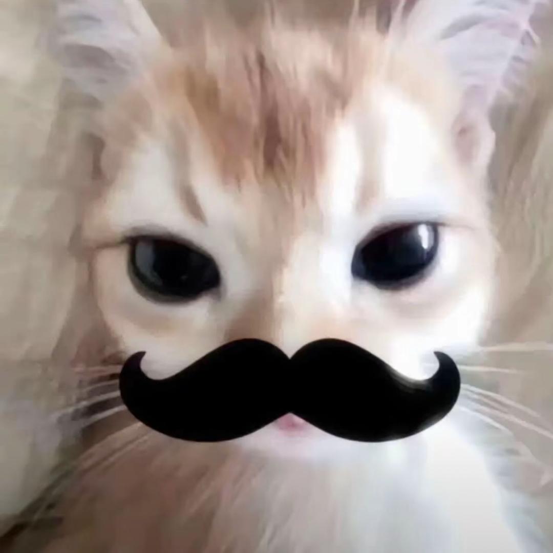 uooky