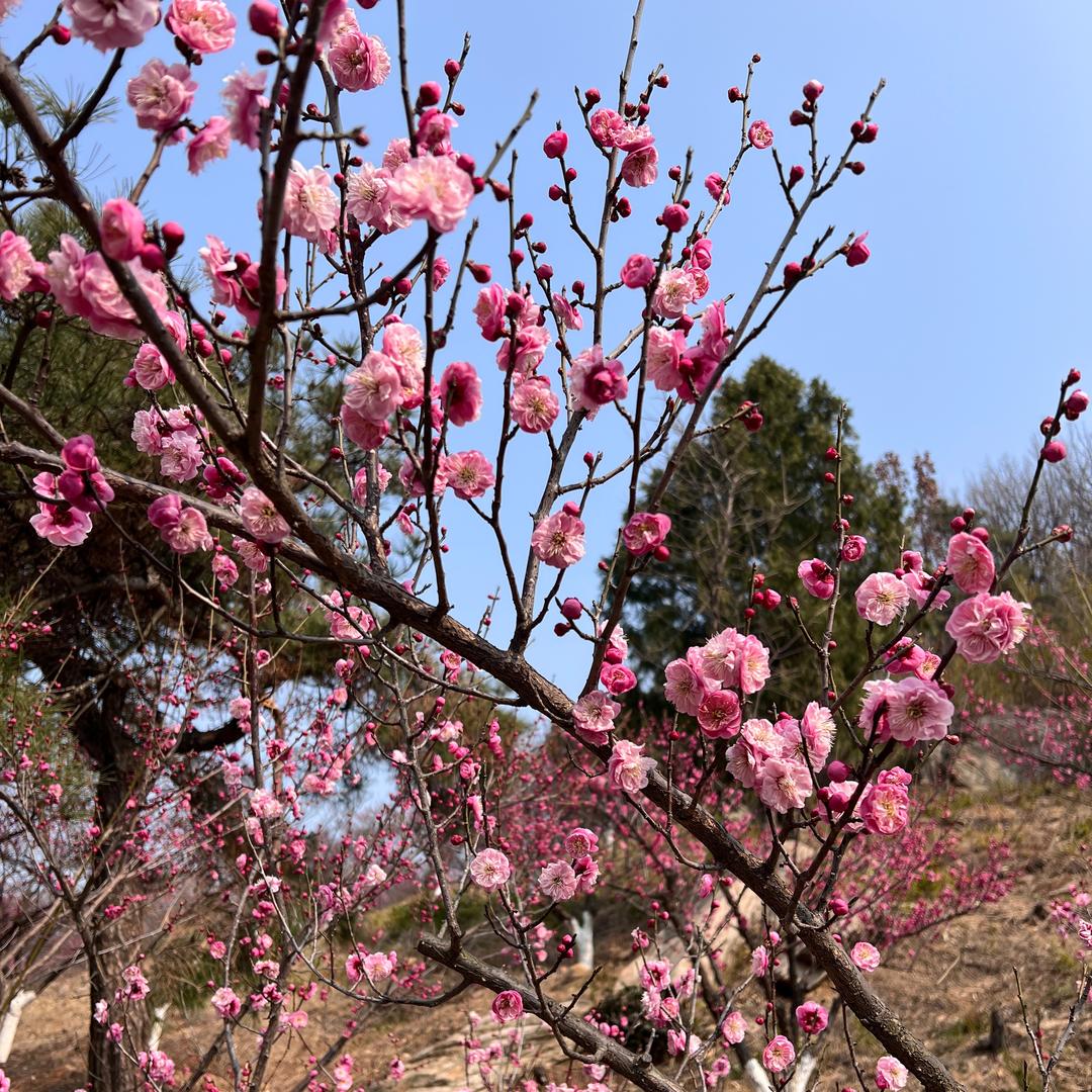 飞哥旅拍