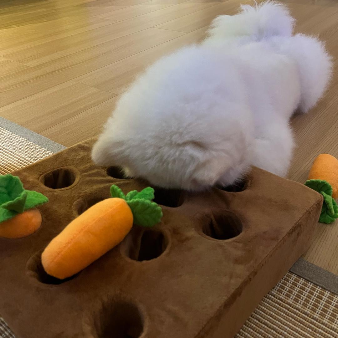 Peter🥚