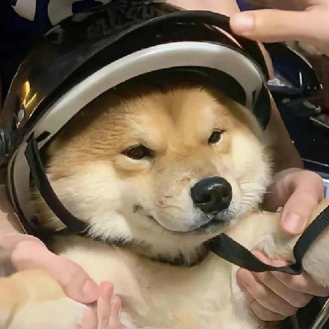 展子