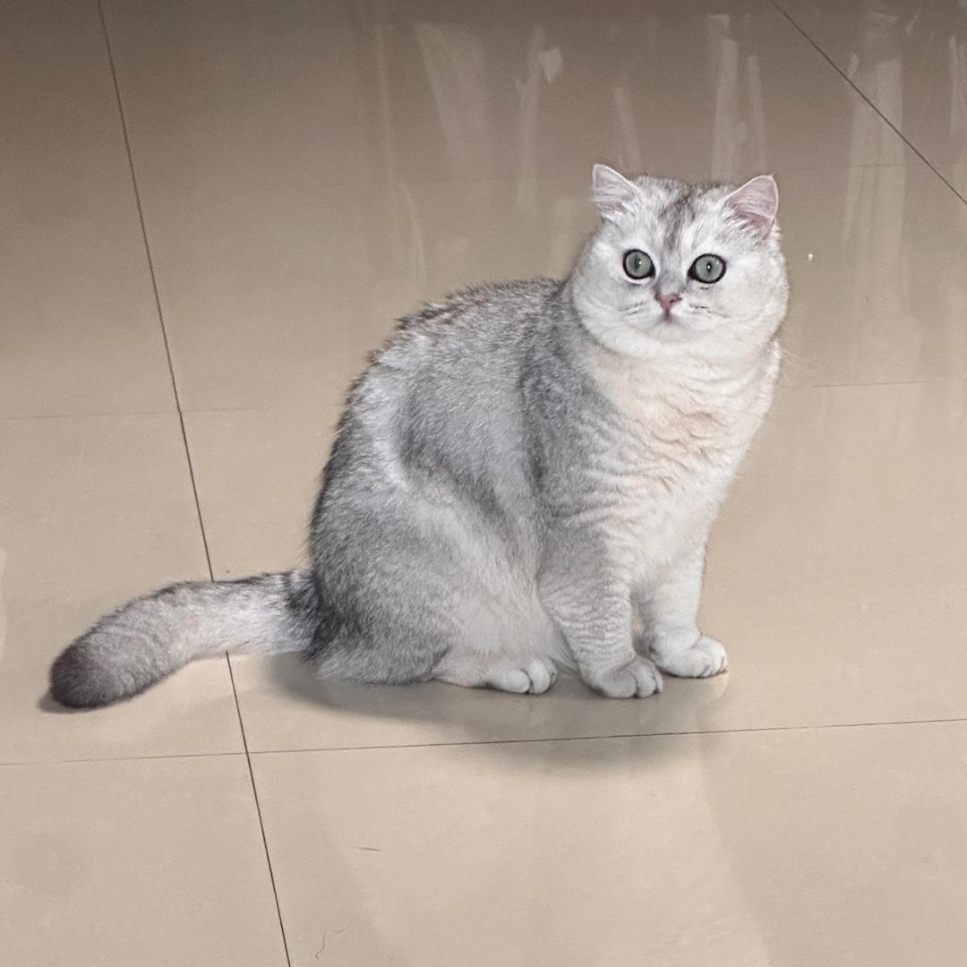 小胡开心不起来