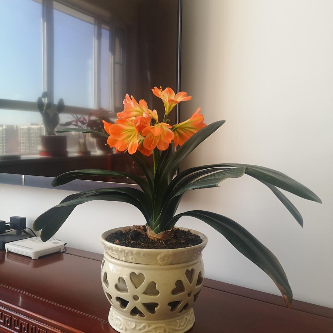 三菱电机家用空调李军
