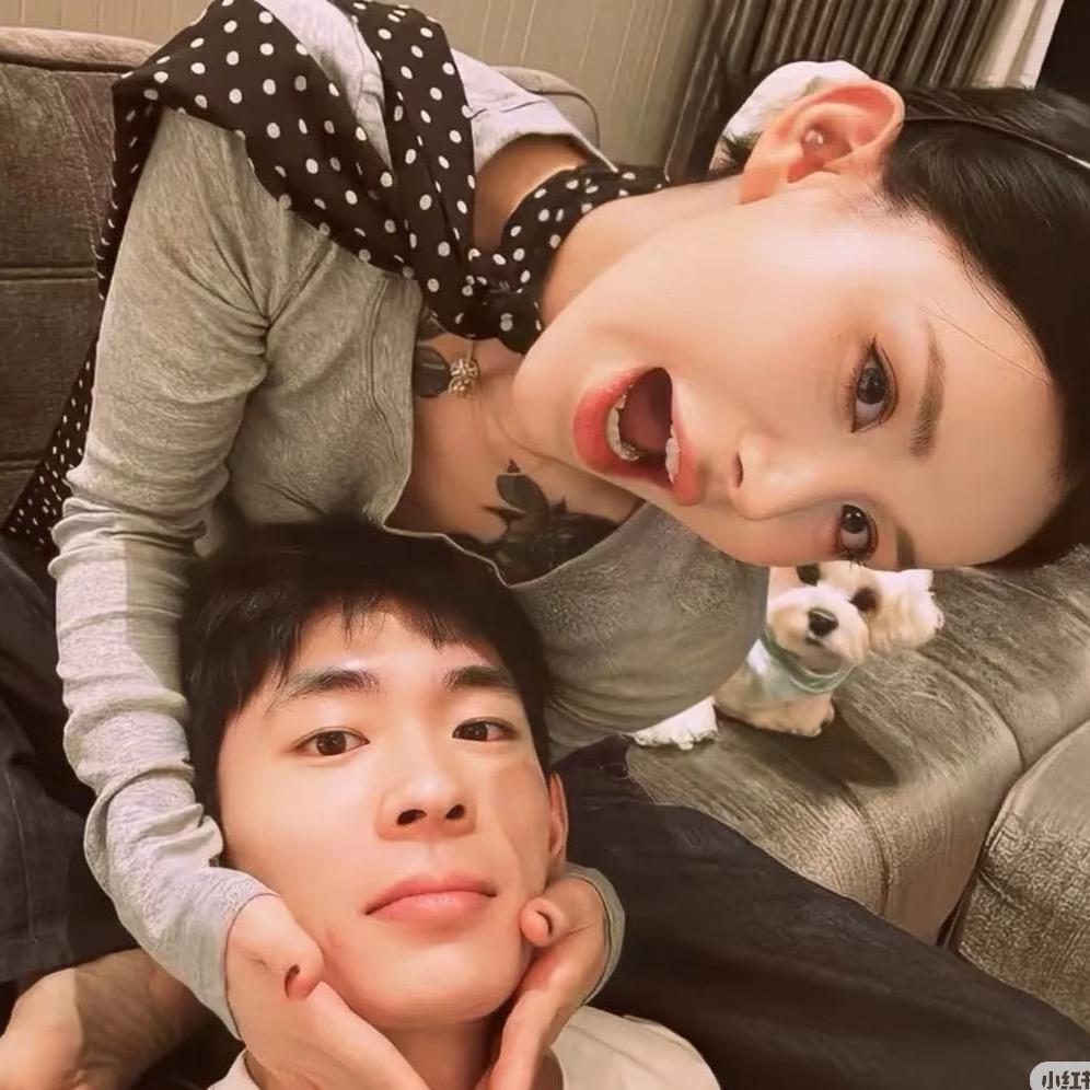 想吃麦当劳🧚‍♀️