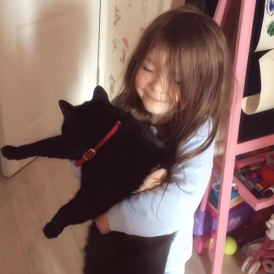 套猪联系我