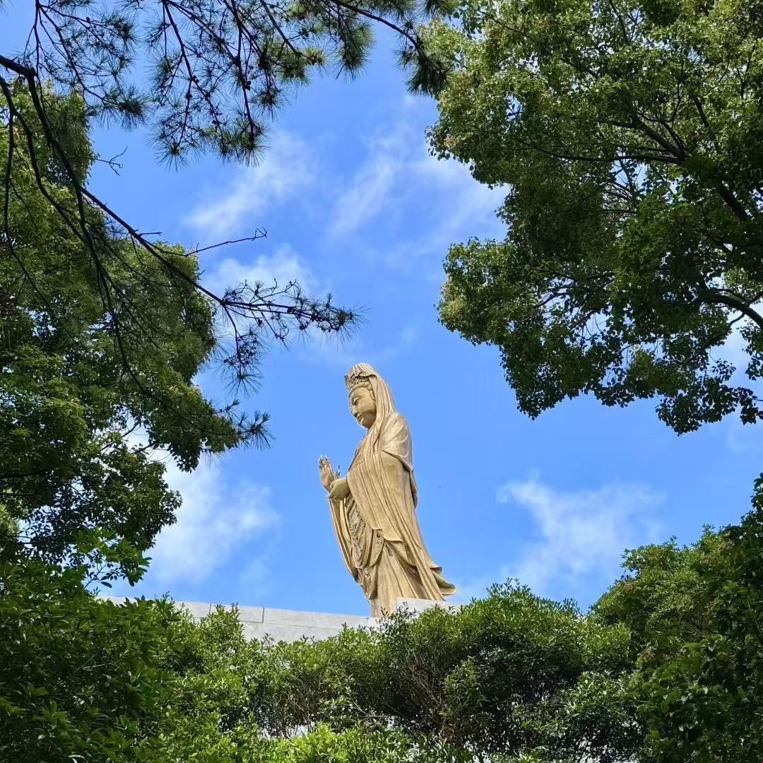 小鱼儿