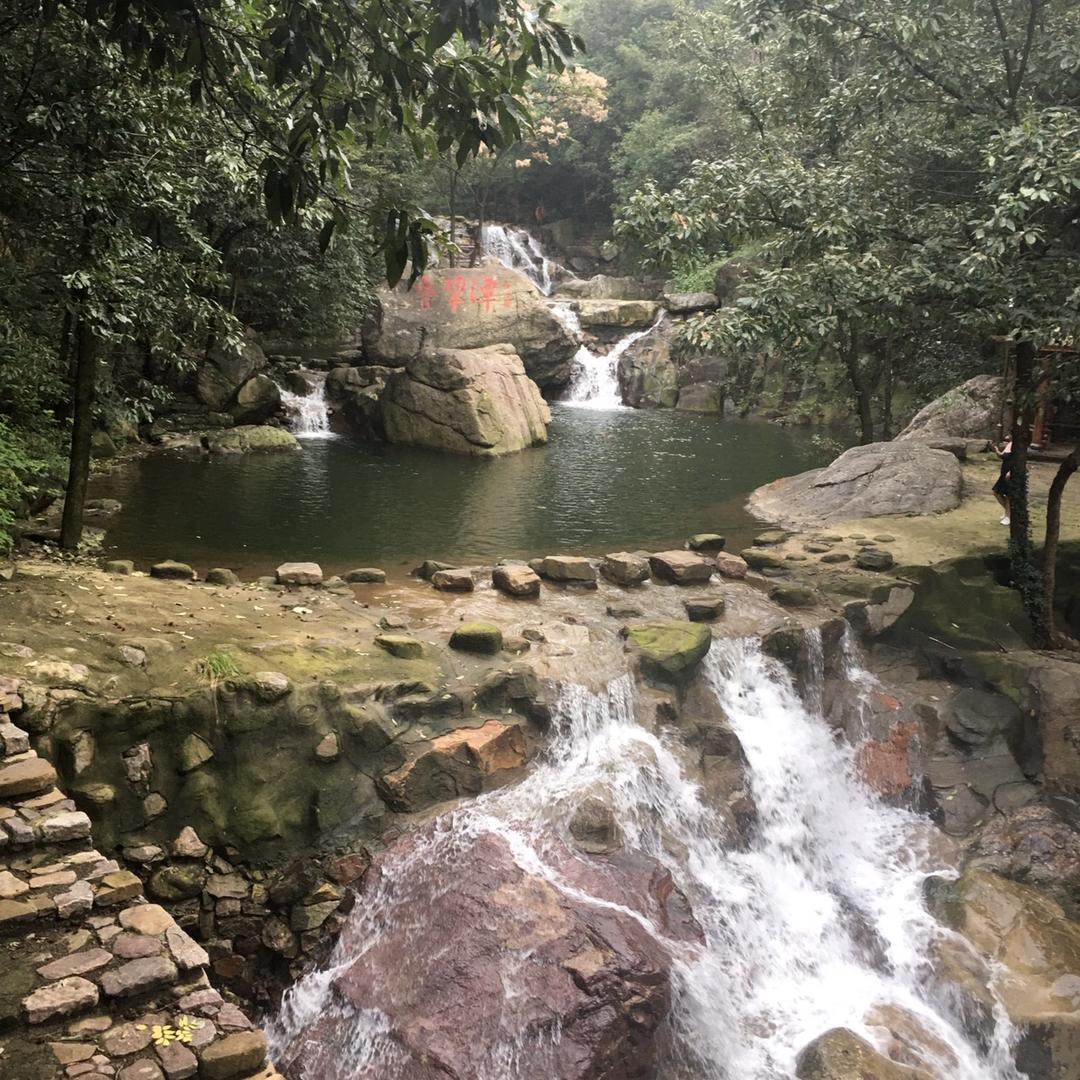 龙行天下