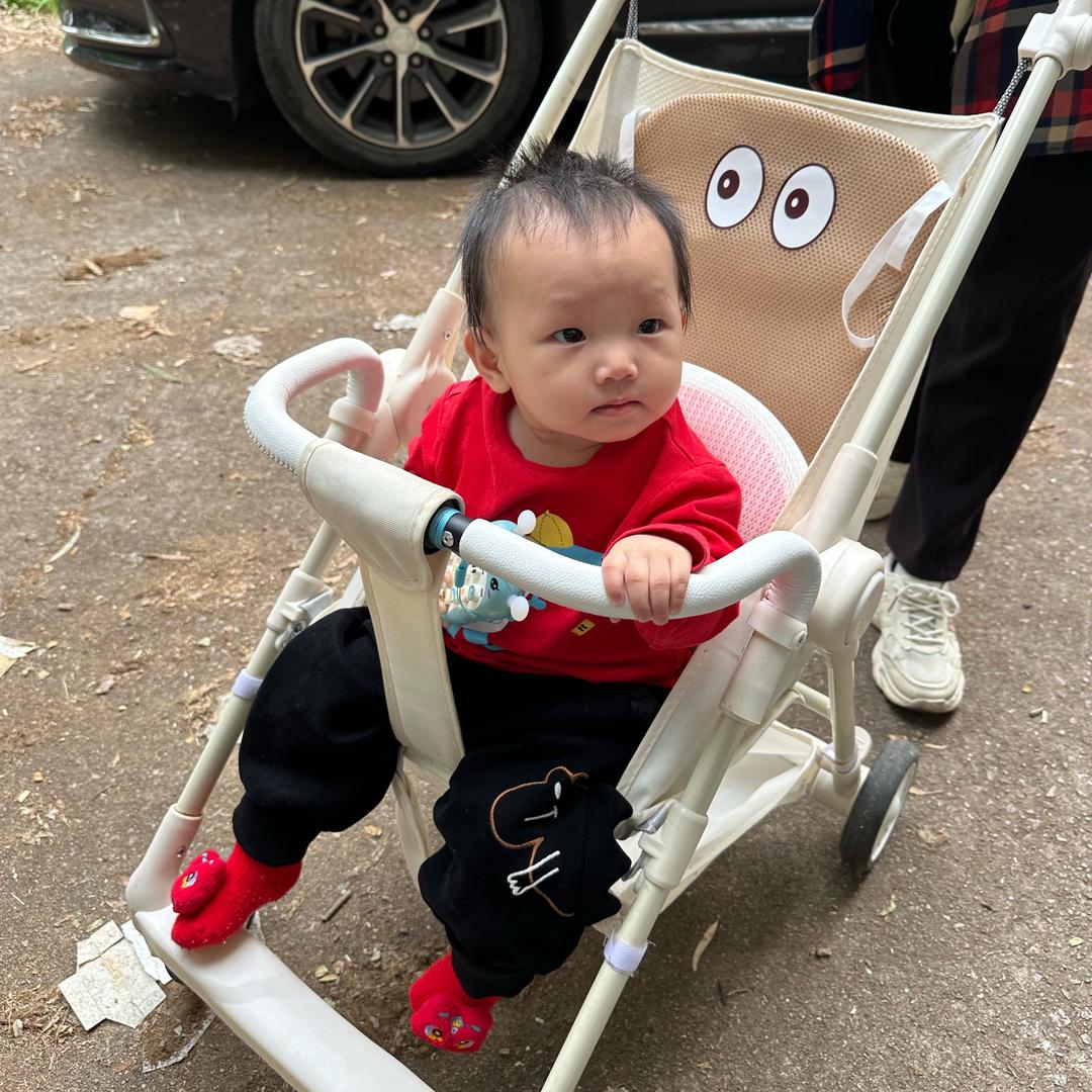 圆圆崽崽👼