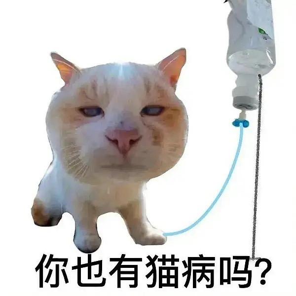 11111111头像