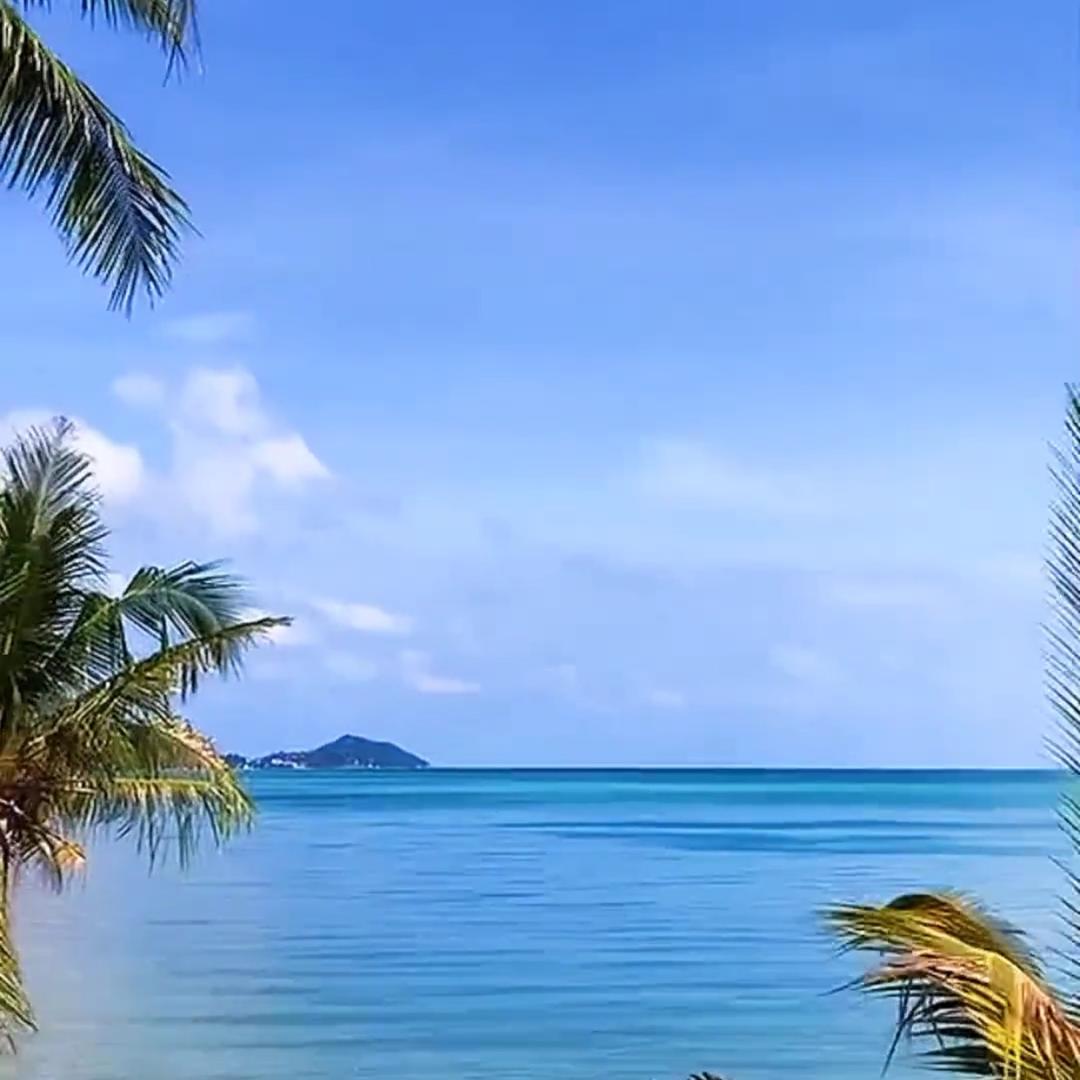 珍姐