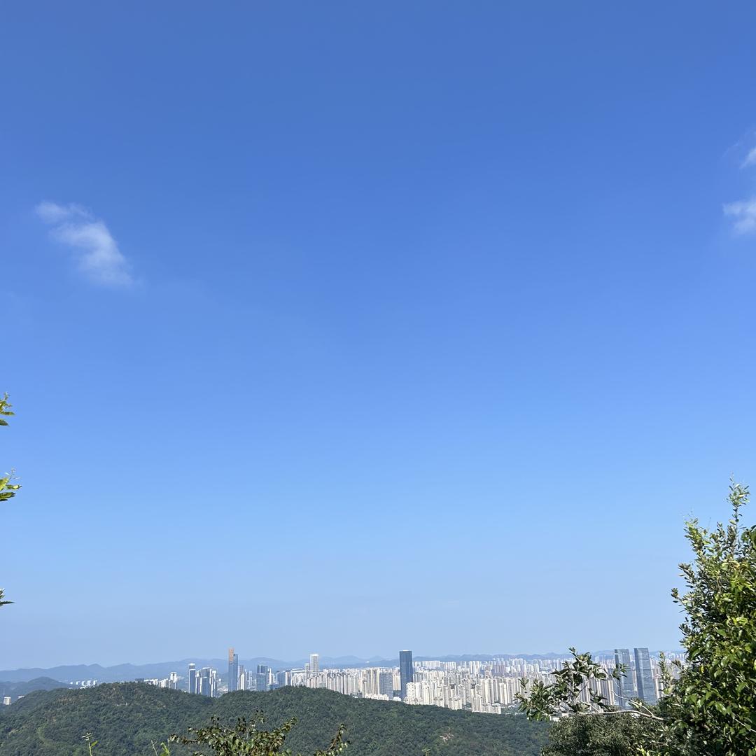 波哥茅酱8+1