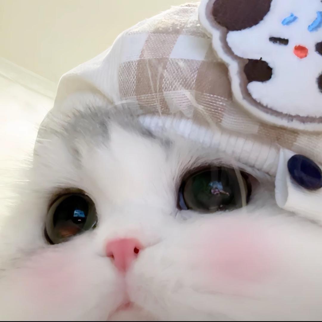 阿狸、