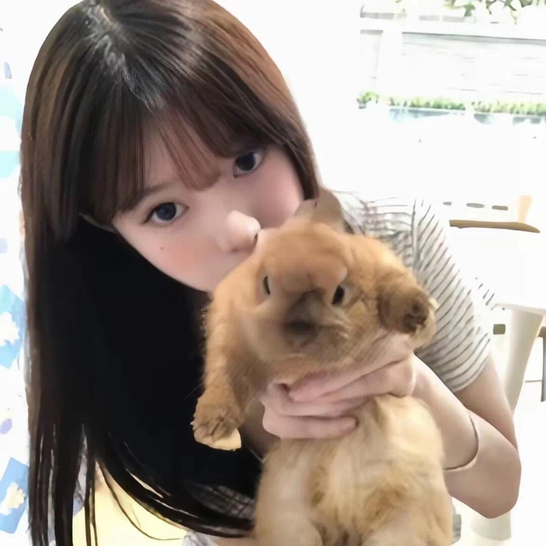 七喜宠物市场
