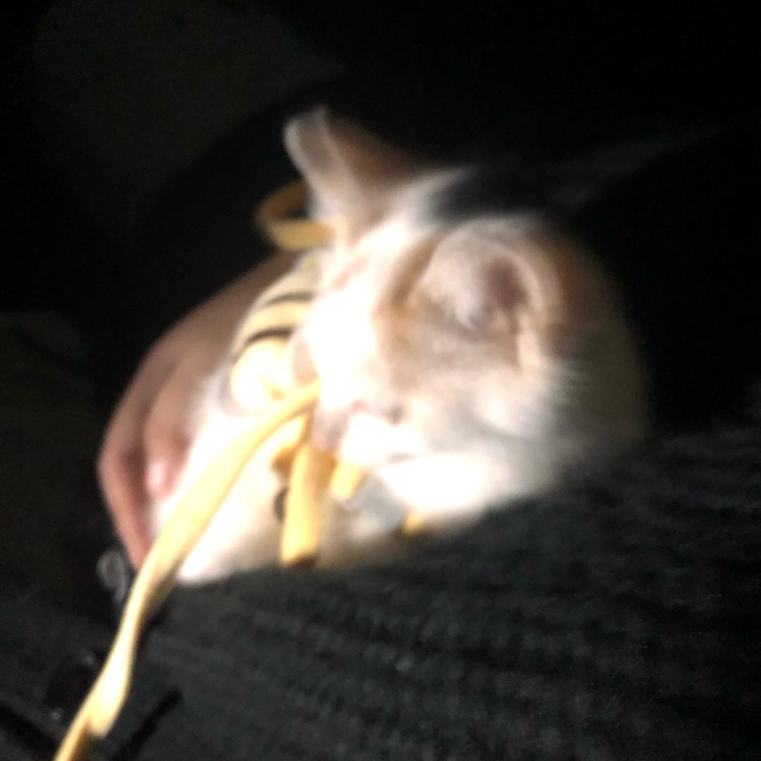 堆花