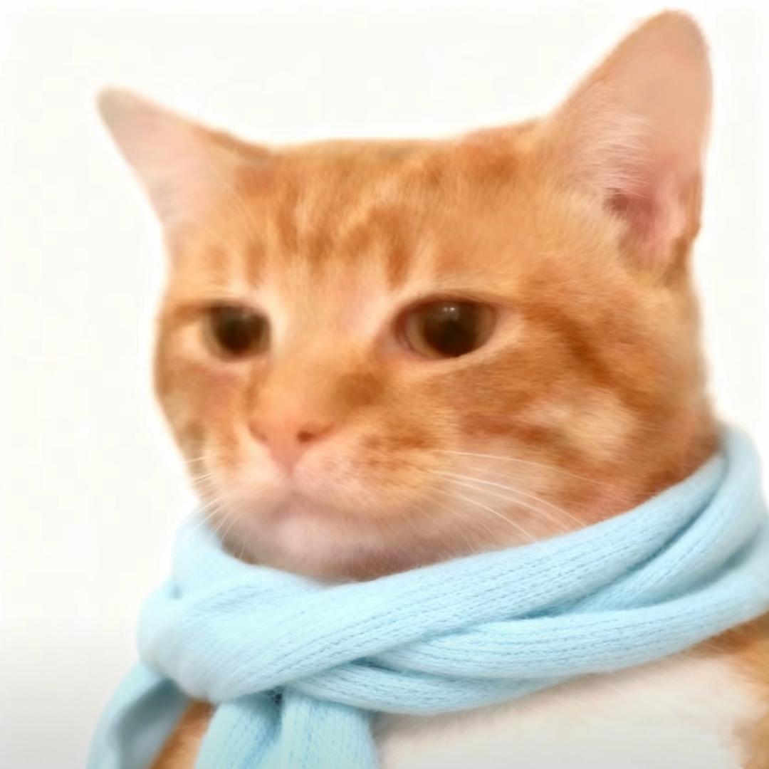 人类鸭美学（想要招风耳版