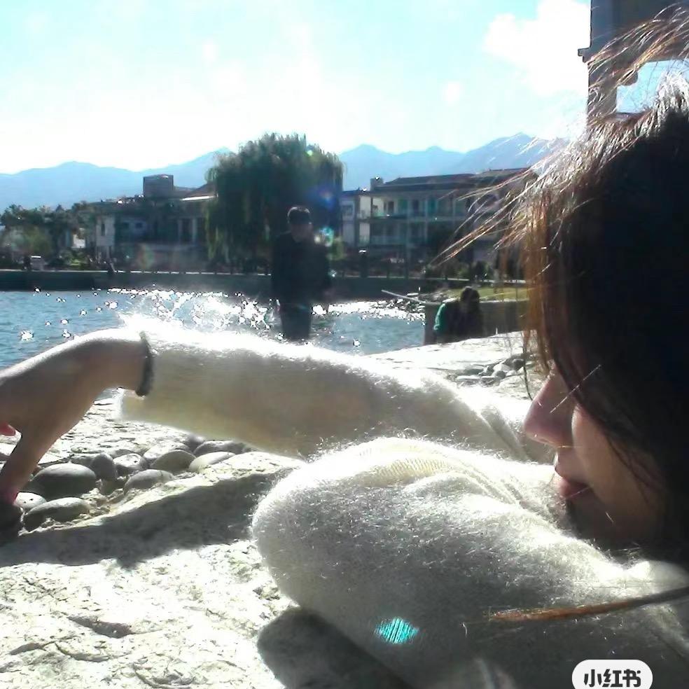 小金鱼鱼鱼