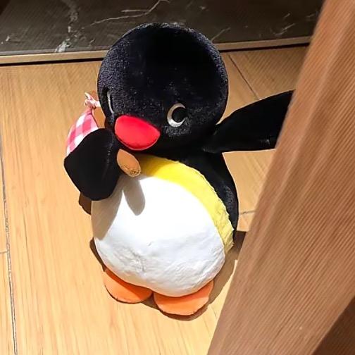 企鹅🐧