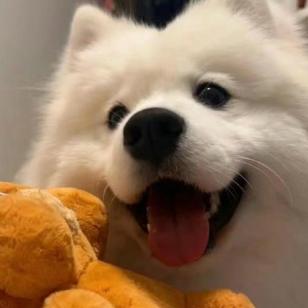 不熬夜了行不行