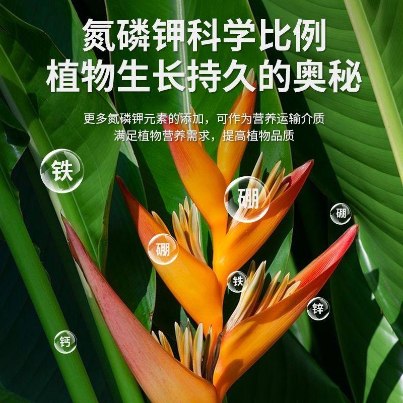 贝德园艺