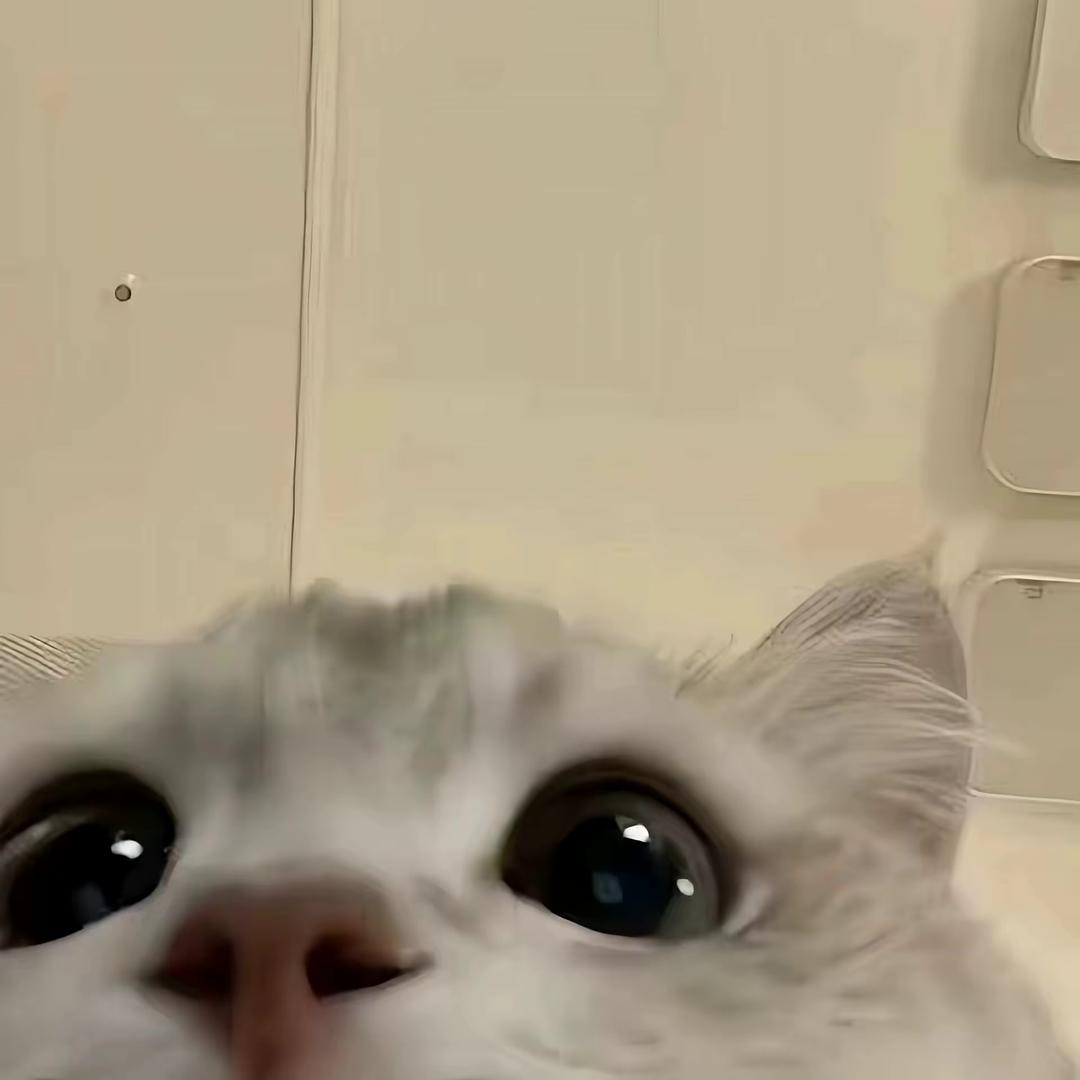 讨厌你