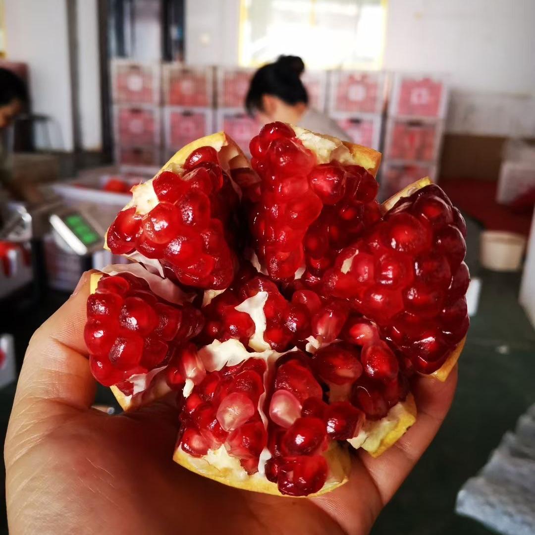 小徐的水果日记