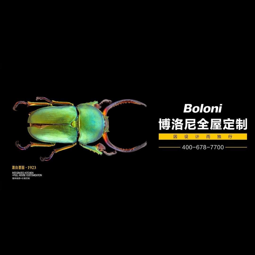 邹城博洛尼整体厨房+全屋定制