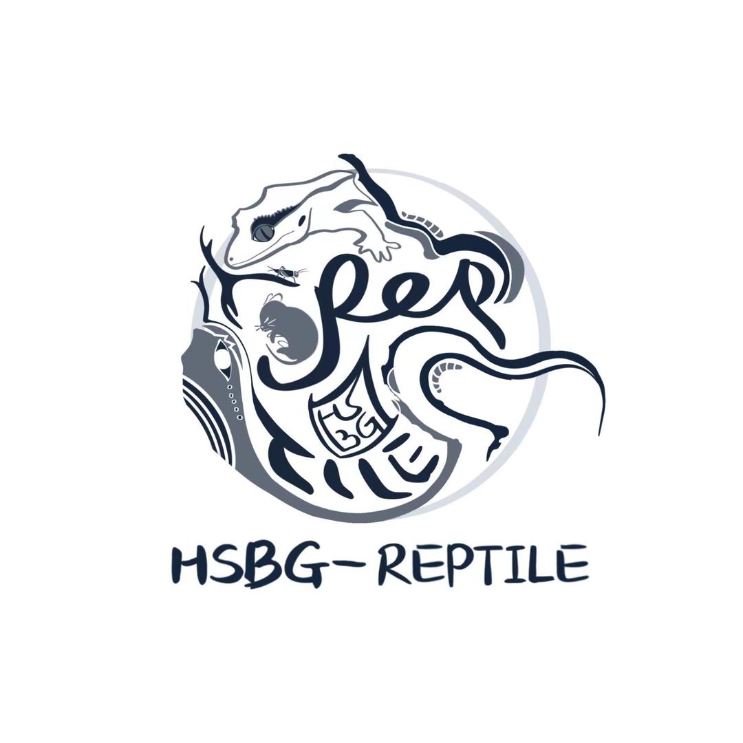 HSBG-Reptile爬宠店